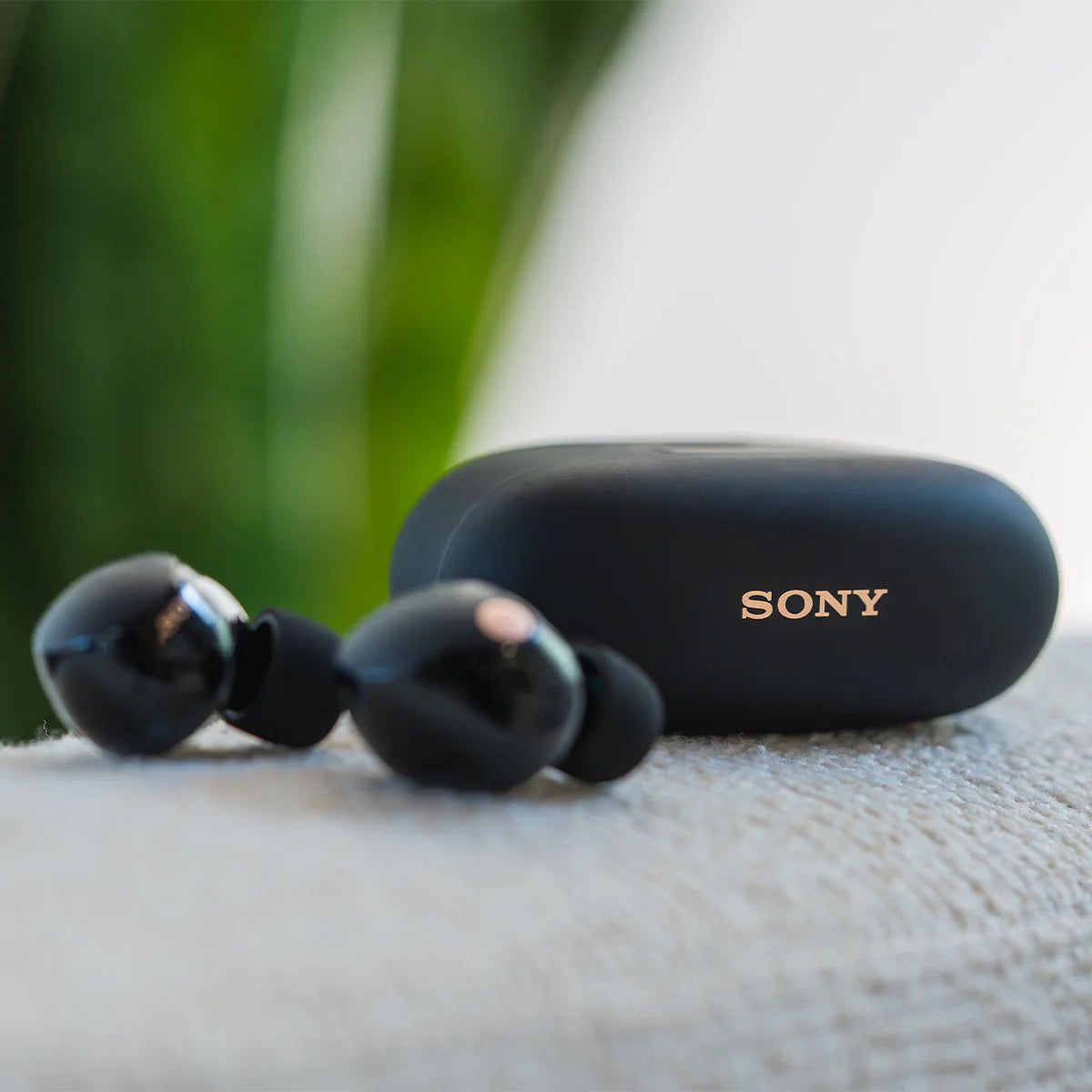 Sony - Écouteurs sans fil à réduction de bruit WF-1000XM5 - Noir
